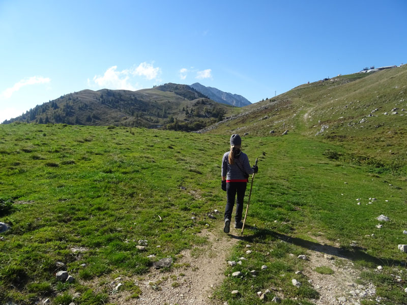 Cima delle Pozzette  m.2132 - Gruppo del Monte Baldo (VR)